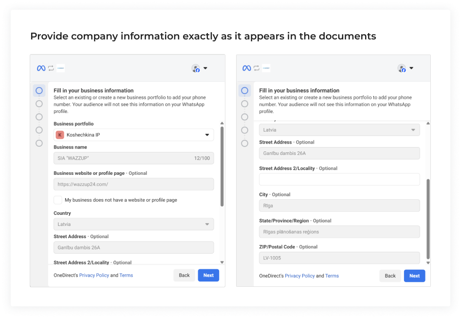 business portfolio information