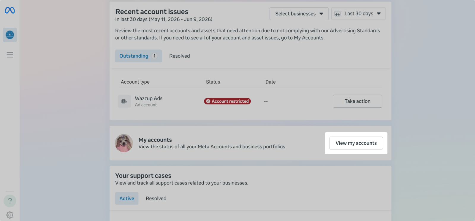 View Accounts